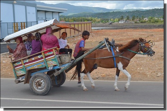 スンバワの馬車