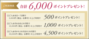 6,000ポイント