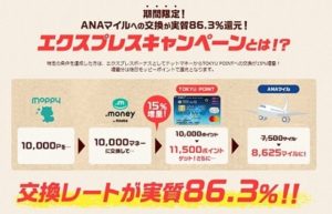 ANAマイルのキャンペーン