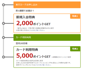 楽天スーパーポイント内訳