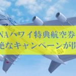 ANAハワイ特典航空券の壮絶なキャンペーン