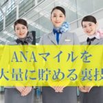 anaマイルの貯め方の裏ワザ