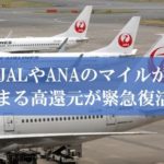陸マイラ―祭りで209％還元
