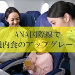 ANA国際線で有料機内食のアップグレード
