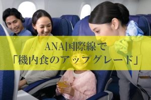 ANA国際線で有料機内食のアップグレード