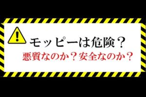 モッピーの評判は悪質？危険？それとも安全か