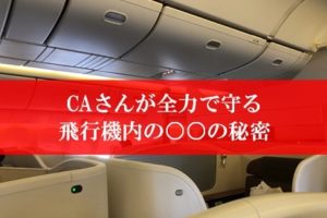 CAさんが全力で守る秘密