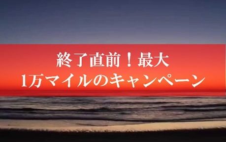 陸マイラーへの裏ワザが激アツ