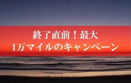 陸マイラーへの裏ワザが激アツ