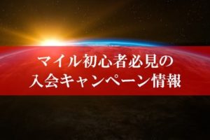 陸マイラー祭りで1,000円還元が激アツ