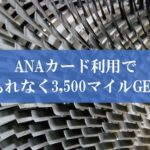 ANAカード利用ありがとうキャンペーン2019