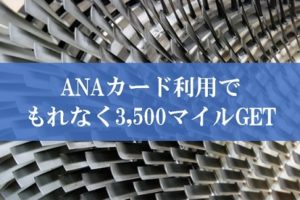 ANAカード利用ありがとうキャンペーン2019