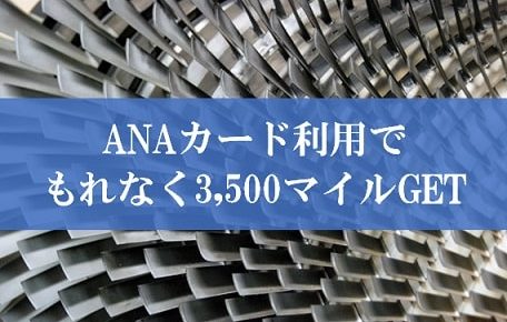 ANAカード利用ありがとうキャンペーン2019