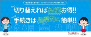 ミツウロコでんきとは?