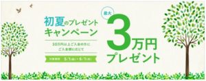 ウェルスナビのキャンペーン