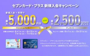 カード会社側のキャンペーン