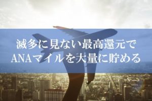 ANA陸マイラー祭りの裏技