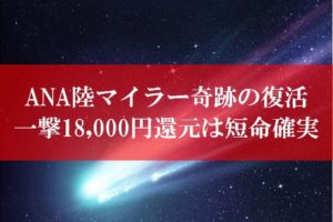 ANA陸マイラー祭りの裏技