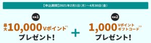 カード会社側のキャンペーン