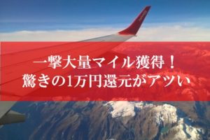 陸マイラー祭りが壮絶