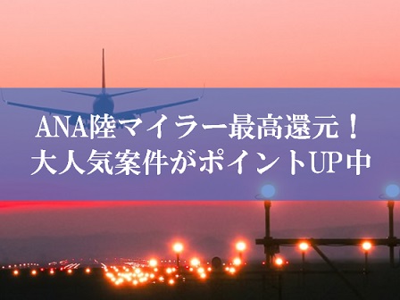 ANA陸マイラー祭り