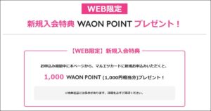 WEB限定