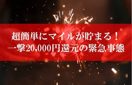 JAL陸マイラー祭りの裏技