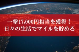 ANA陸マイラー祭りの裏技