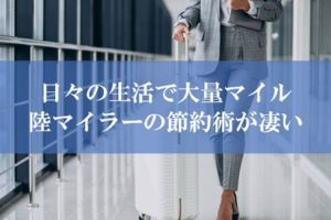 ANA陸マイラー祭りの裏技