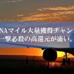 ANA陸マイラー祭りの裏技