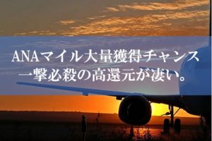 ANA陸マイラー祭りの裏技