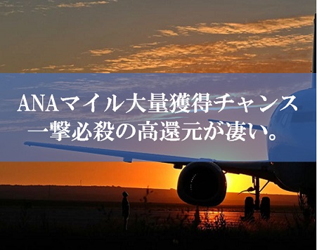 ANA陸マイラー祭りの裏技