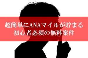ANA陸マイラー祭りの裏技