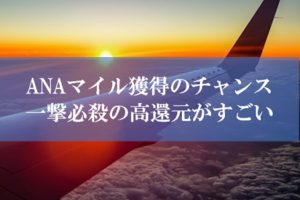 ANA陸マイラー祭りの裏技