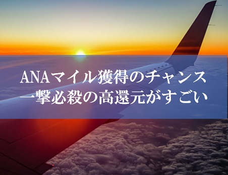 ANA陸マイラー祭りの裏技