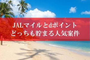 JAL陸マイラー最強祭り