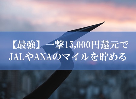 JAL陸マイラー祭り