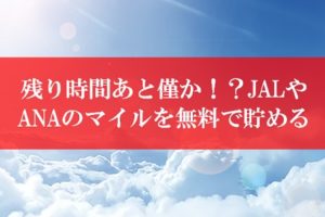 陸マイラー祭り