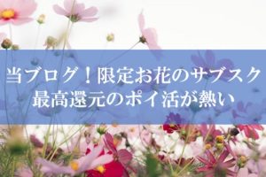 お花のサブスクでポイ活