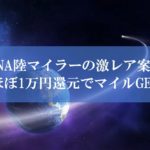 陸マイラー祭りの激レア案件