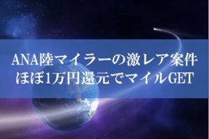 陸マイラー祭りの激レア案件