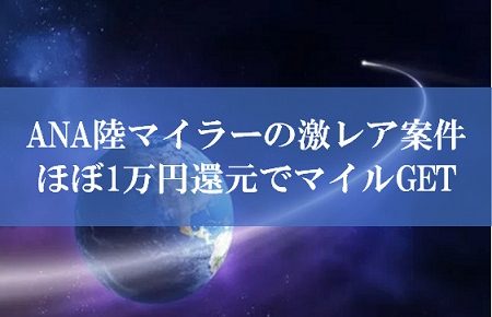 陸マイラー祭りの激レア案件