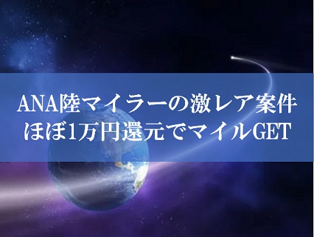 陸マイラー祭りの激レア案件