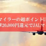 陸マイラー祭りが壮絶