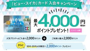 ビュースイカのキャンペーン
