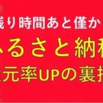 ふるさと納税