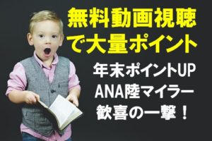 ANA陸マイラー祭り