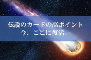 ANA陸マイラー祭りが壮絶