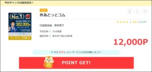 陸マイラー祭り
