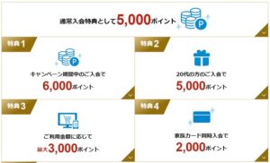 キャンペーンポイント